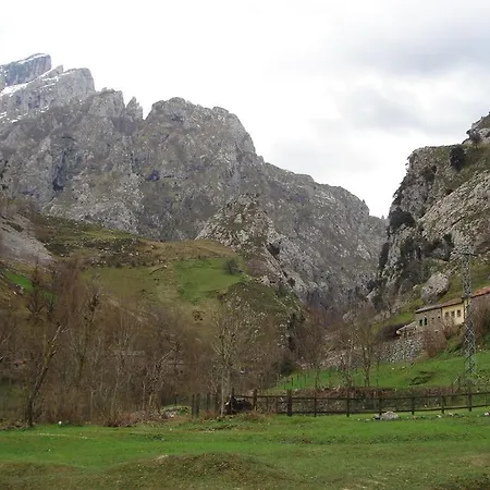 Montanero